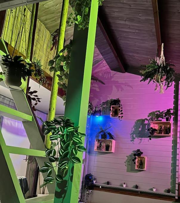 Jungle Style Lodge With Jacuzzi ,Sauna And Garden Near Amsterdam Vijfhuizen エクステリア 写真